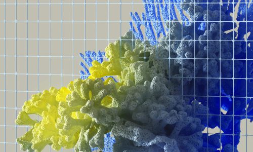 Waarom duurzaamheid thuishoort in je businessplan