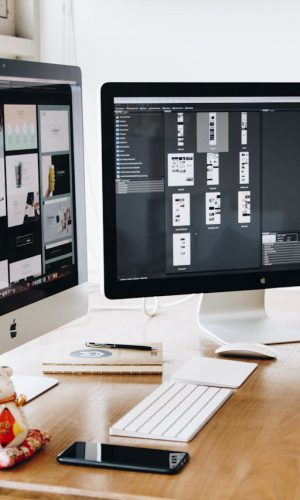 pexels-tranmautritam-326503